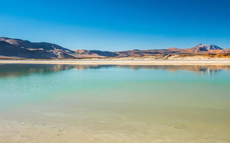 Tour Piedras Rojas + Altiplanic Lagoons + Chaxa Lagoon - Key details before you book
