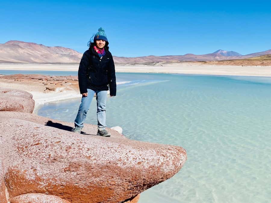 Tour Piedras Rojas + Altiplanic Lagoons + Chaxa Lagoon - Chaxa Lagoon and the salt-flat birds