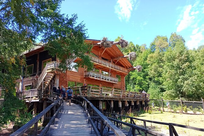 Tour to Huilo Huilo from Pucón, Villarrica - Why Huilo Huilo makes sense as a day trip