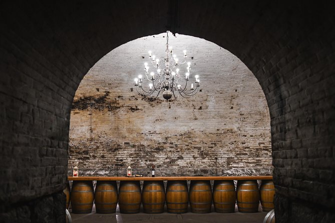 "Tour Tradicional" Viña Cousiño Macul Oficial portugués - The vineyard and sustainable practices