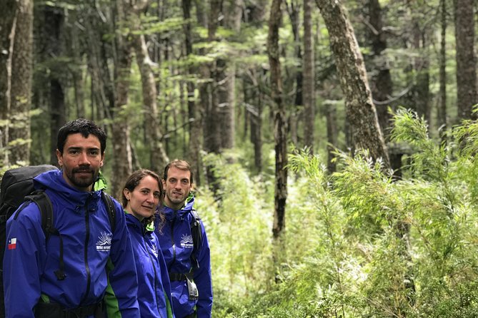 Trekking Mirador el volcano + Geometric hot springs - How the $195 Price Holds Up