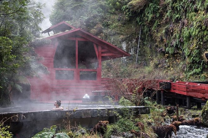 Trekking Mirador el volcano + Geometric hot springs - A Three-Hour Climb Through Forest and Araucarias