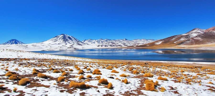 Triple tour: Red stones, highland lagoons and Chaxa Lagoon - Why this Atacama day trip works so well