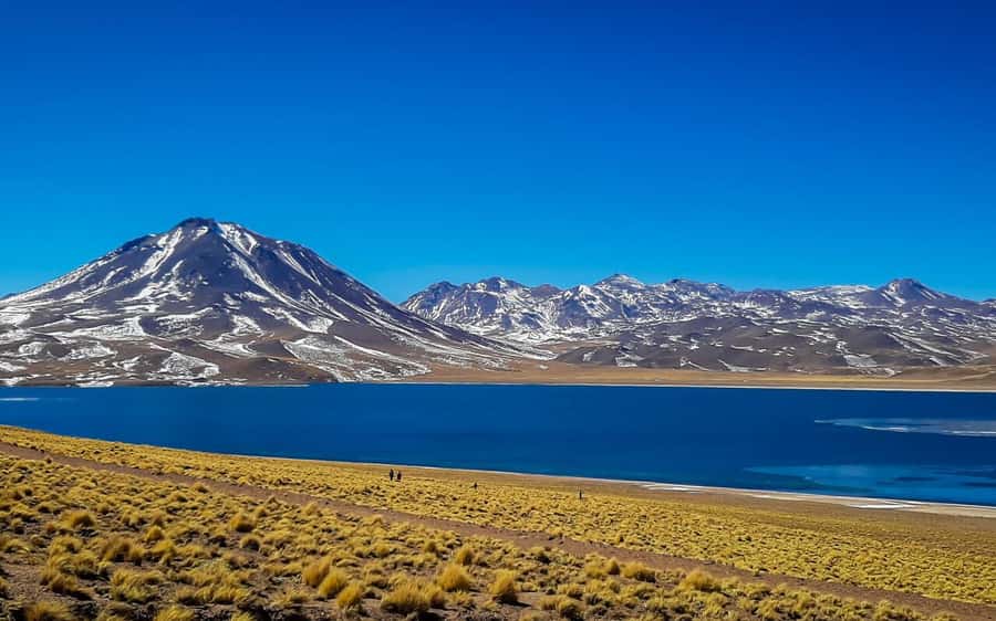 Triple tour: Red stones, highland lagoons and Chaxa Lagoon - Piedras Rojas and the red volcanic world