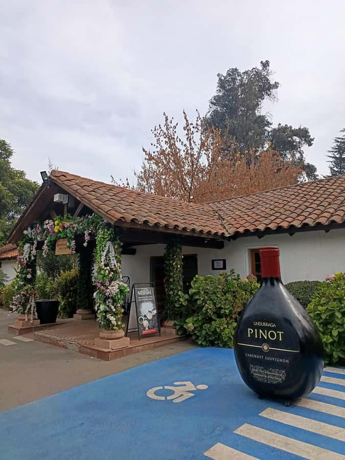 UNDURRAGA VINEYARD - Leaving Santiago for the Maipo Valley