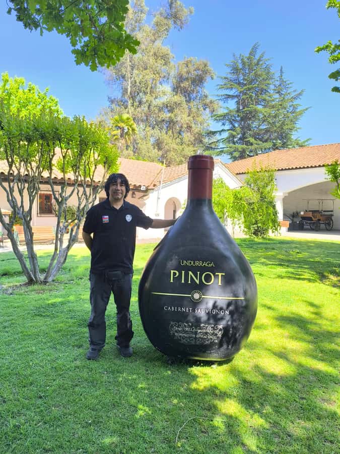 UNDURRAGA VINEYARD - The 90-minute guided winery visit