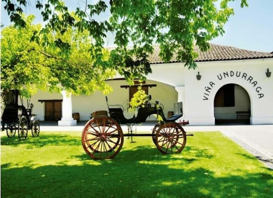 Undurraga Wine tour - Why the five-hour format works from Santiago