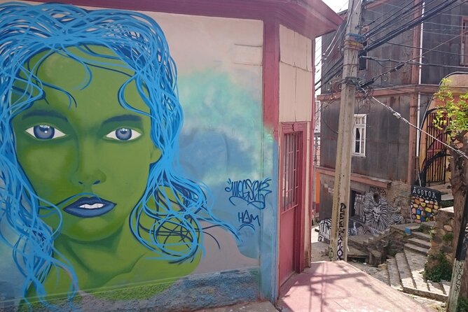 Valparaiso and Viña del Mar Full-Day Private Guided Tour - Why this coast trip works from Santiago