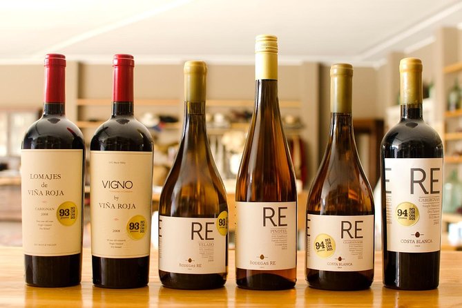 Valparaiso & Casablanca : Wine, Gastronomy and Living Culture - Walking Valparaiso from Paseo Gervasoni