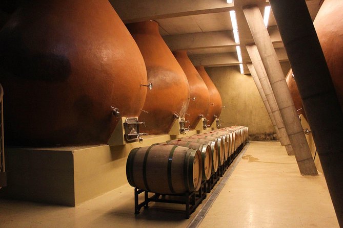Valparaiso & Casablanca : Wine, Gastronomy and Living Culture - Casablanca wine before the coast