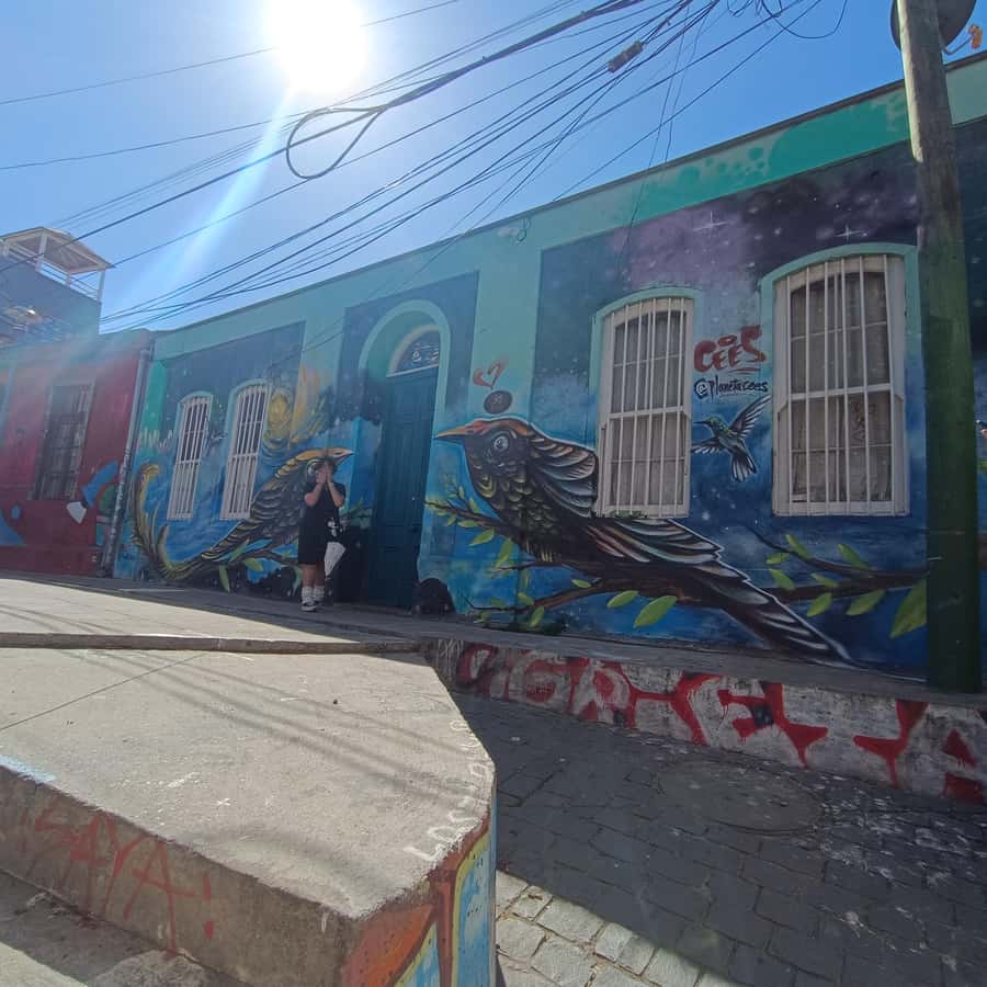 Valparaíso: city tour and ticket to the house of Pablo Neruda - How much walking should you expect?