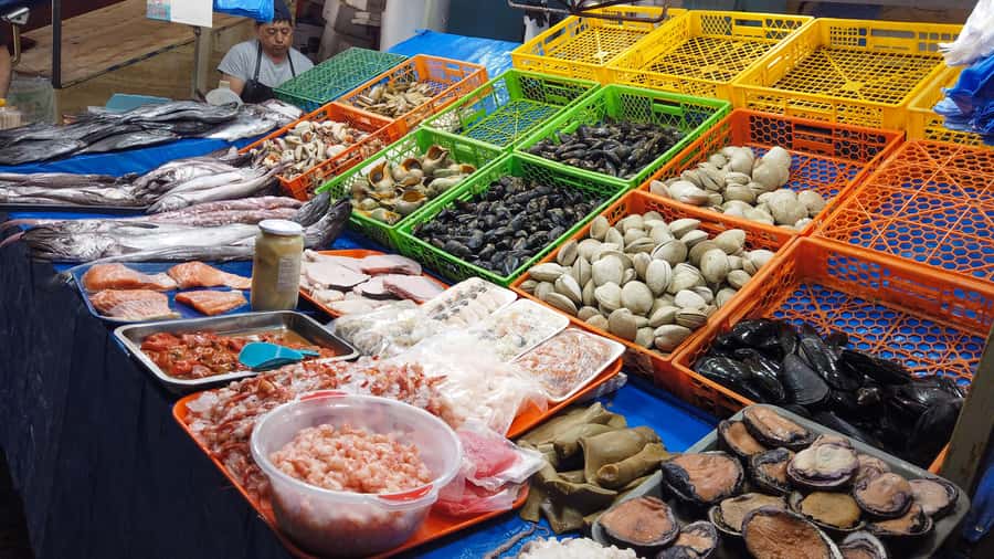 Valparaiso Port and Viña del Mar, Wine tasting in Casablanca - Why this day trip works from Santiago