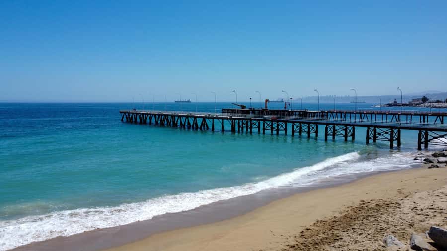 Valparaiso Port and Viña del Mar, Wine tasting in Casablanca - The Casablanca vineyard tasting