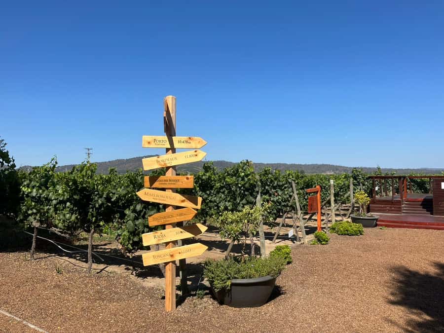 Valparaíso to Casablanca: wine tour with premium tasting and transportation - Key points at a glance