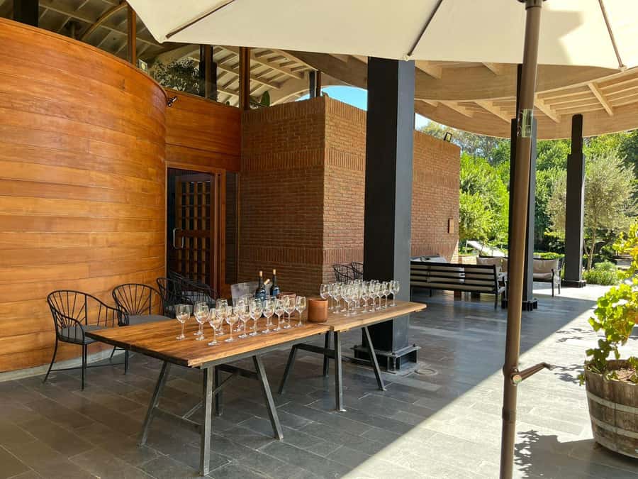 Valparaíso to Casablanca: wine tour with premium tasting and transportation - The 30-minute vineyard tour