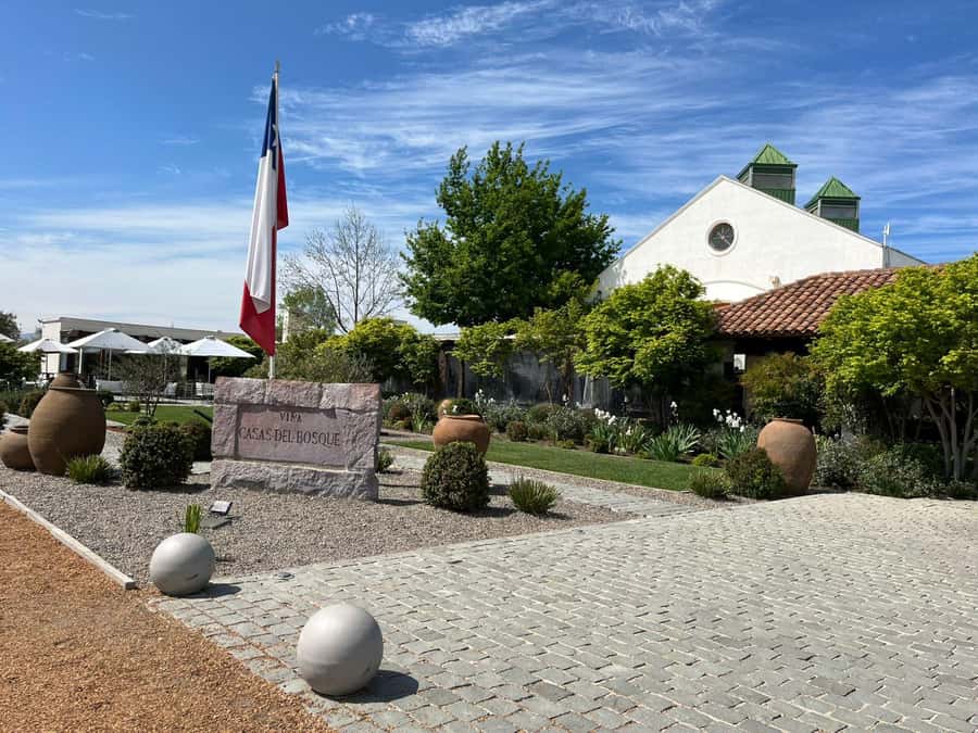 Valparaíso to Casablanca: wine tour with premium tasting and transportation - A 45-minute premium wine tasting