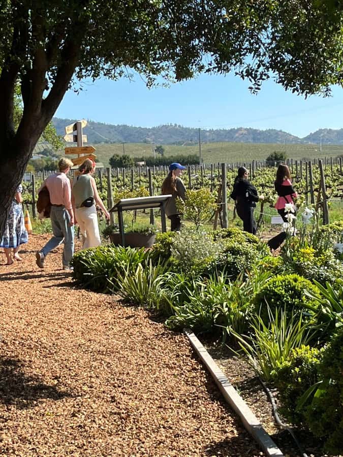 Valparaíso to Casablanca: wine tour with premium tasting and transportation - Simple ways to make the day better