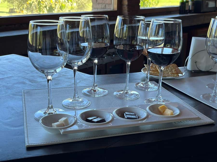 Valparaíso to Casablanca: wine tour with premium tasting and transportation - Choosing a vineyard that fits your taste