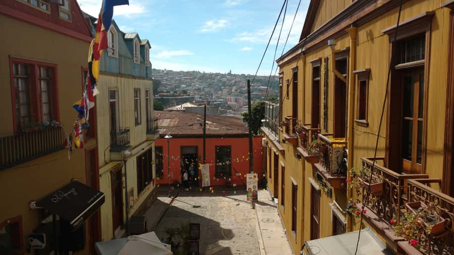 Valparaíso, Viña del Mar and Casablanca Full Day Experience - Guides make the difference