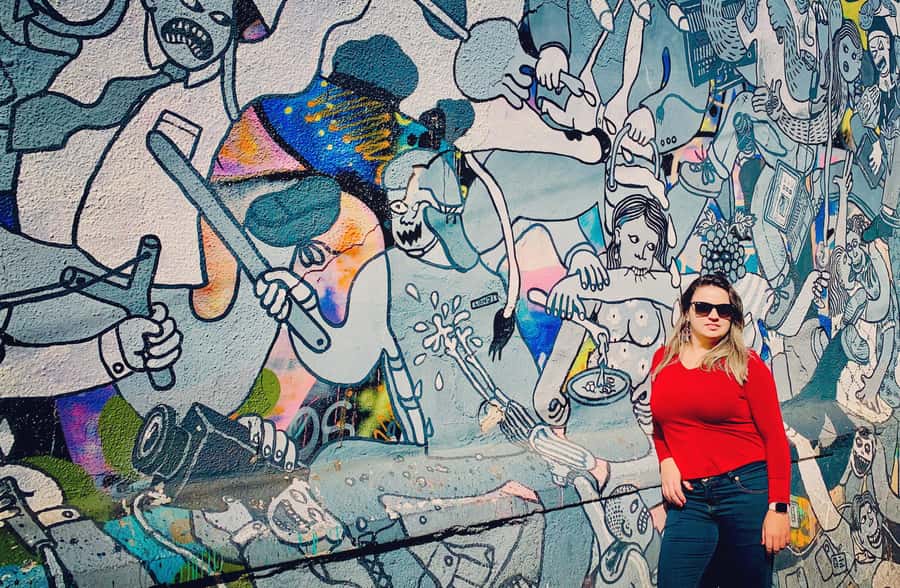 Valparaíso y Viña del Mar full day - Key points to know before booking