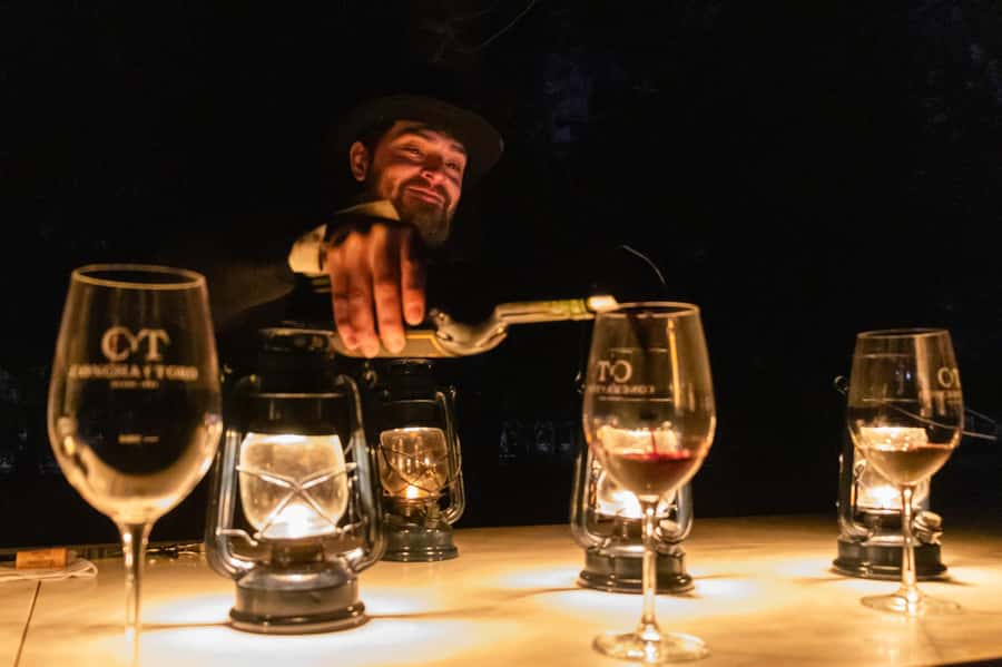 Viña Concha y Toro Nighttime: Dinner Show - Five wine servings, not just three