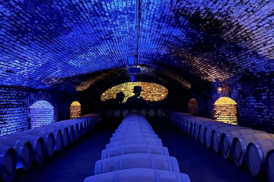 Viña Concha y Toro Nighttime: Dinner Show - Dinner at the Concha y Toro Wine Bar