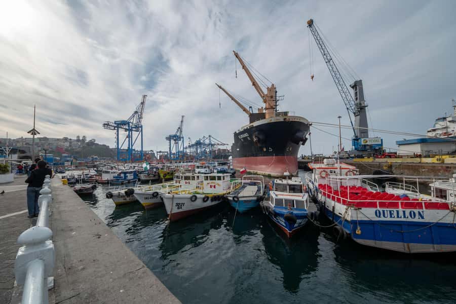 Viña del Mar and Valparaiso: guided day tour - Pickup from Santiago and the road to Casablanca