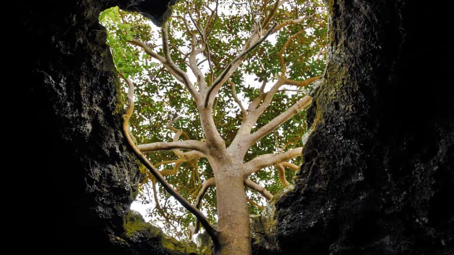 Volcanic Refuges: Excursion to Underground Civilization - Should you book Volcanic Refuges?