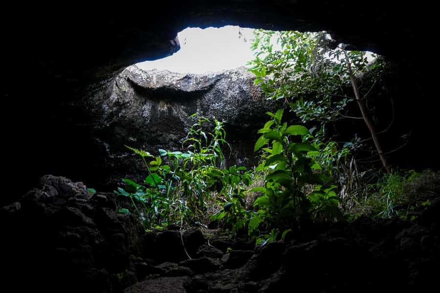 Volcanic Refuges: Excursion to Underground Civilization - What the $170 price really buys you