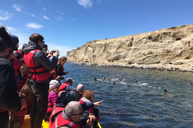 Walk alongside Penguins on Magdalene Island and navigate Marta Island - Marta Island and the wildlife from the water