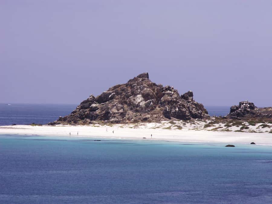 Whales & Humboldt Penguins: Chañaral or Damas island hiking - Caleta Los Hornos and La Higuera add local context