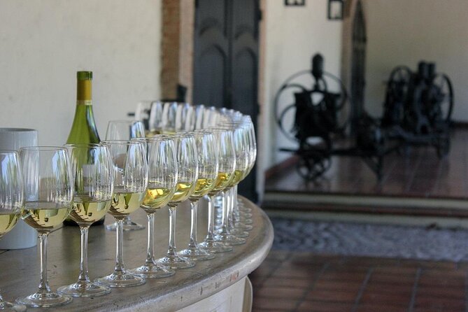 Wine wonders at Concha y Toro premium tour - Key points at a glance